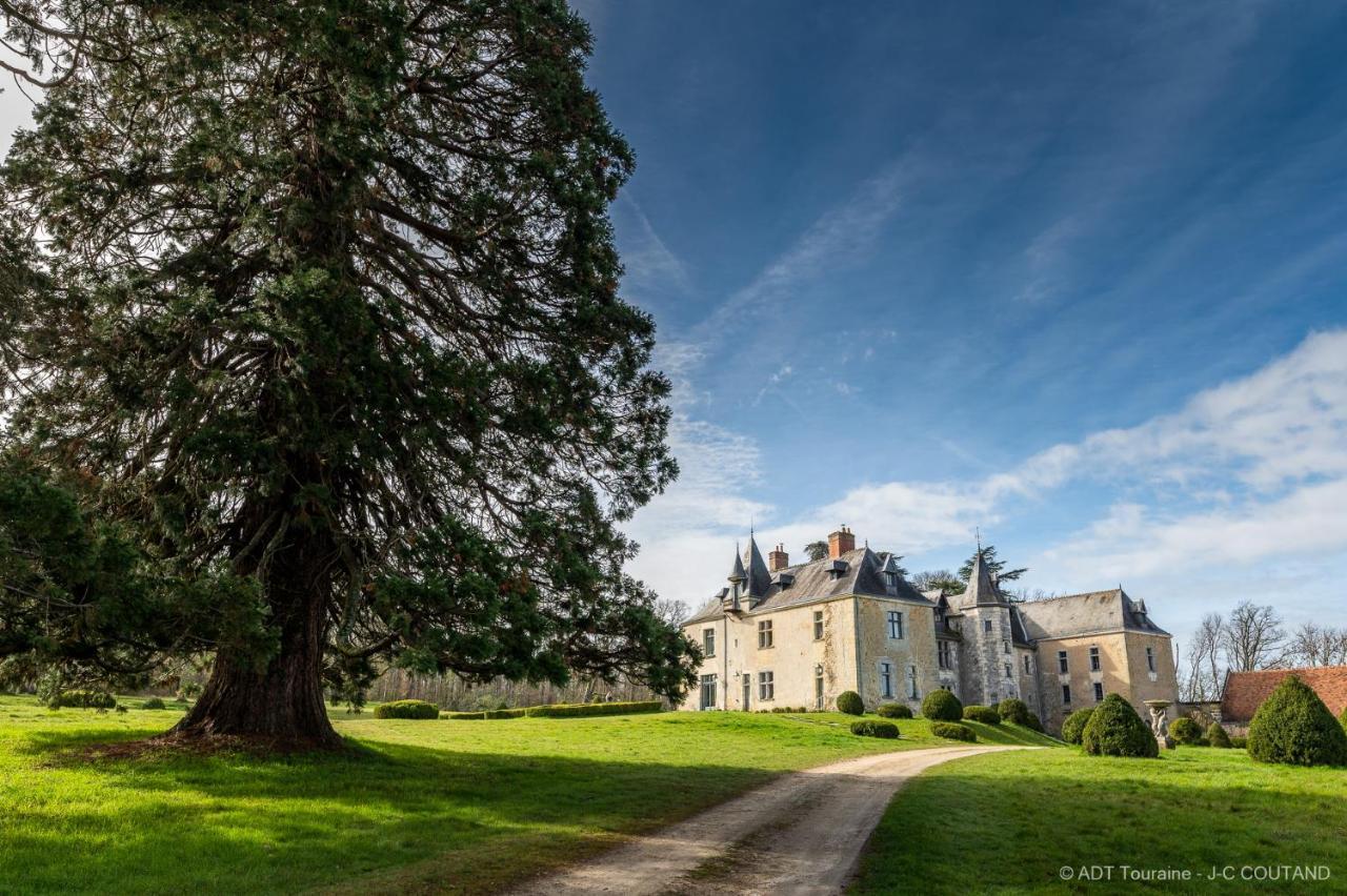 Chateau De Valesne Saché Zewnętrze zdjęcie