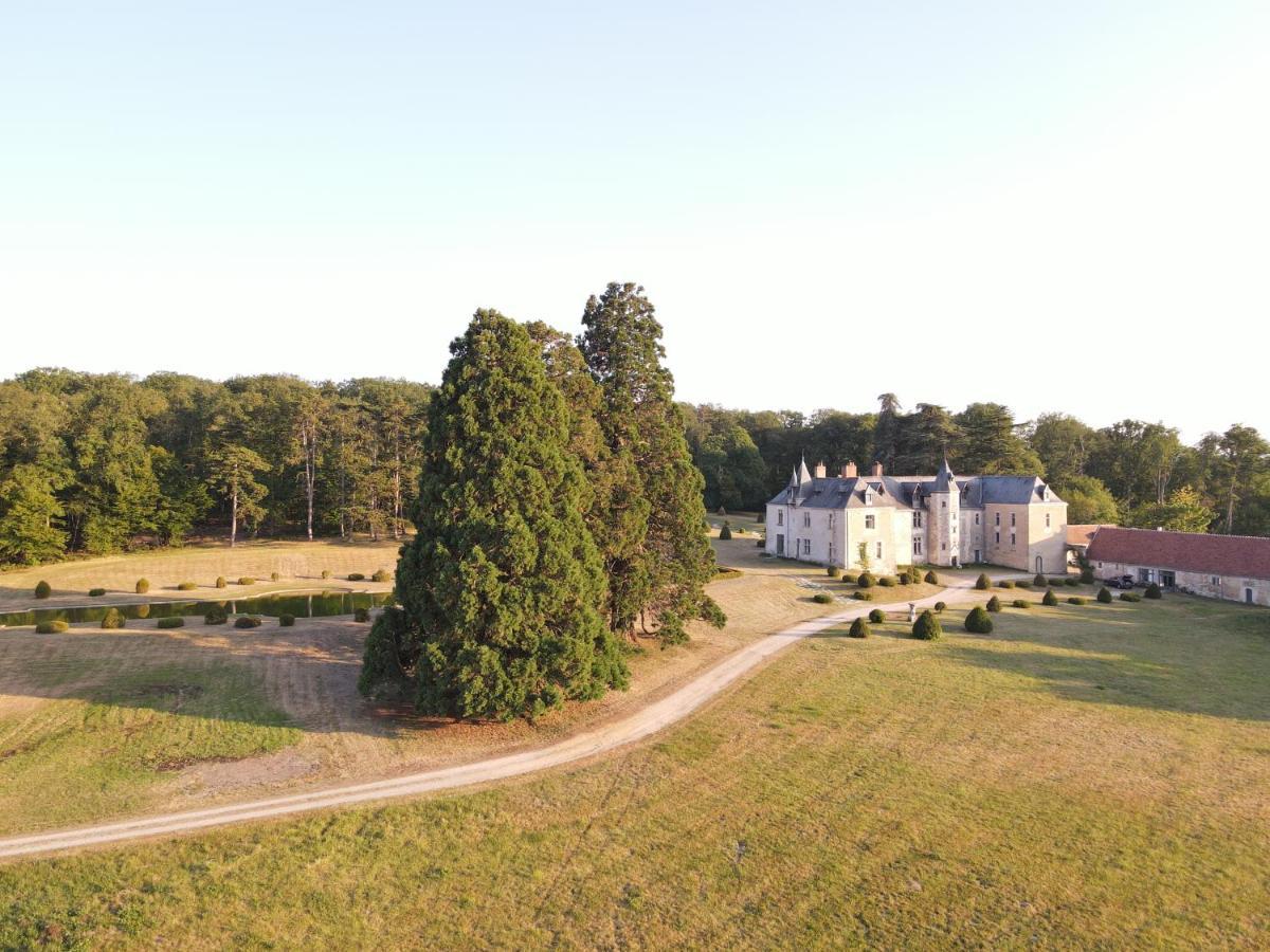 Chateau De Valesne Saché Zewnętrze zdjęcie